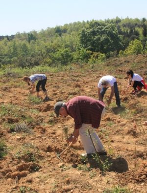 ÇEKÜL’den 116 Bin Fidanla Geleceğe Nefes
