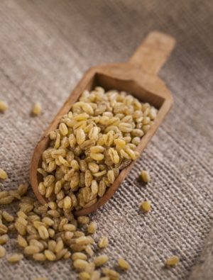 Duru Bulgur’dan Ata Tohumu Ahmet Buğdayı Projesi