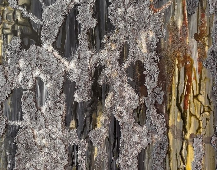 Galeri Binyıl’da Doğa ve Duyguların Buluşması