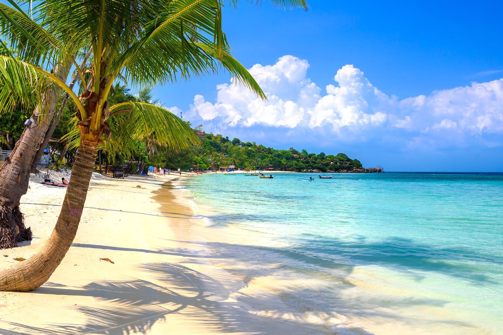Dear Phangan 