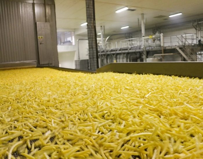 Dondurulmuş Patateste Büyüme: Atakey’in 2026 Hedefi 80 Bin Ton