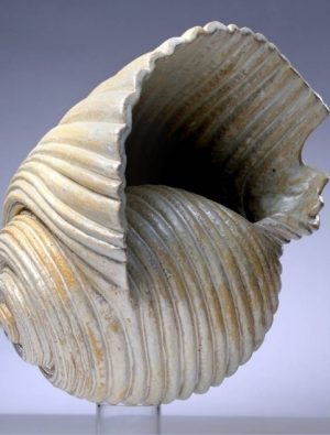 Ekol Tatbiki Sanat Topluluğu’ndan “Şaka Gibi” Sergi