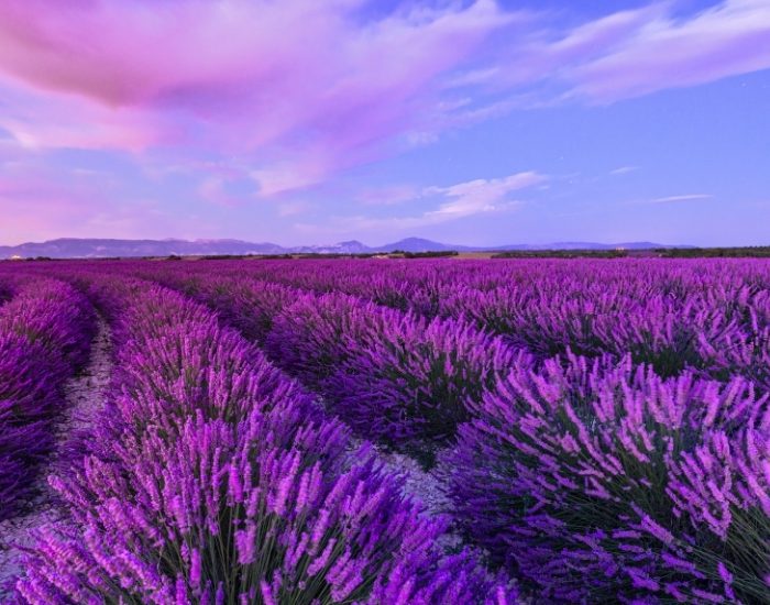Ekonomik Kalkınma mı, Görünürlük Yarışı mı?