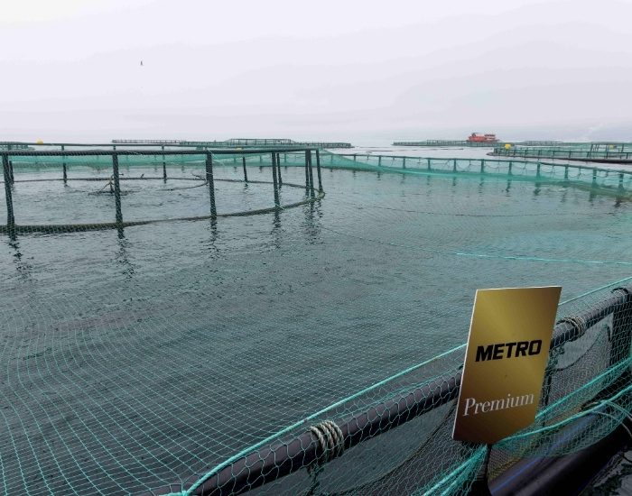 Karadeniz’den Sofralara: Taze Hasat Başladı