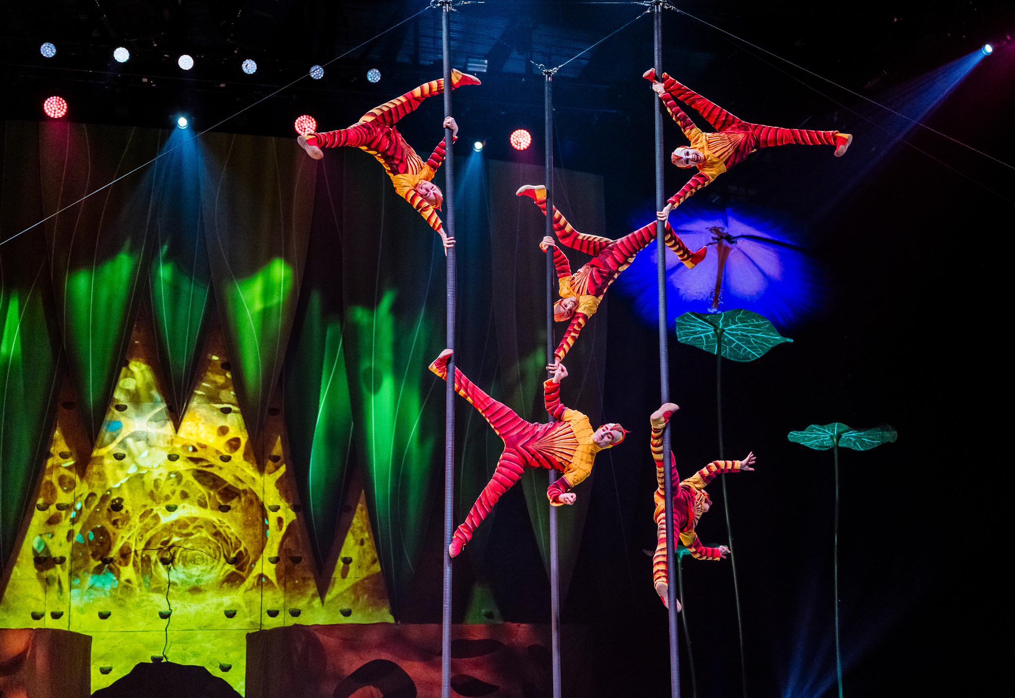 Cirque du Soleil,