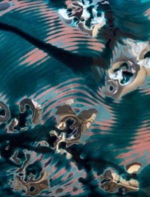 Yoğunlaşmanın Sanatı: Tom Fellows Ruzy Gallery’de