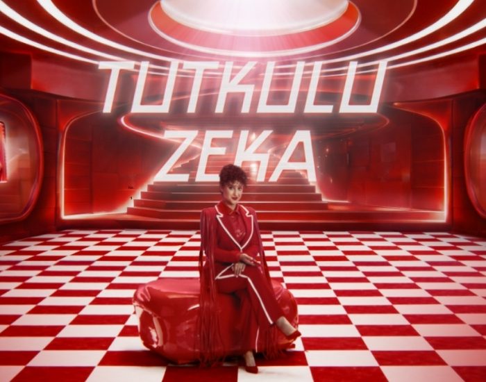 Tutkulu Zeka: Günlük Hayata Mizahi Çözümler