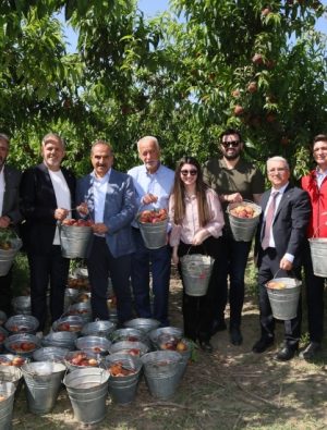 Şeftali ve Nektarinde Rekor Hasat ve İhracat Artışı