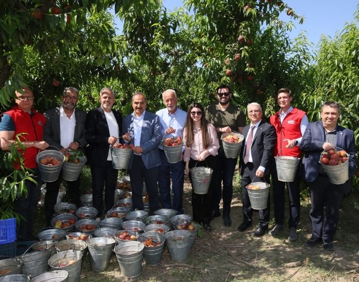 Şeftali ve Nektarinde Rekor Hasat ve İhracat Artışı