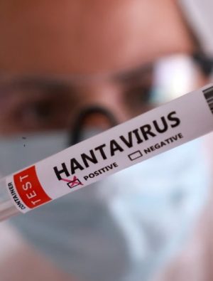 Hantavirüs Tehlikesi: Toz Solumak Riskleri Artırıyor
