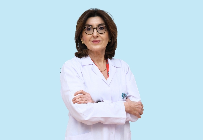 Dr. Dilek Leyla Mamçu
