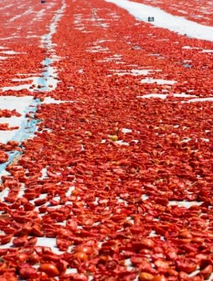 Yaş Meyve Sebze İhracatında 10 Milyar Dolar Hedefi