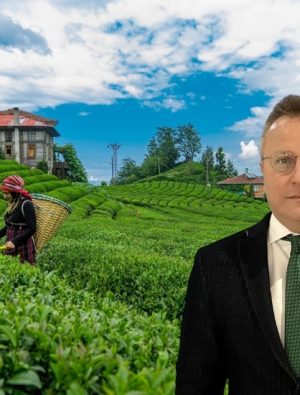 “Kültür Turlarında Patlama: Likya ve Karadeniz Rekor Talep Görüyor”