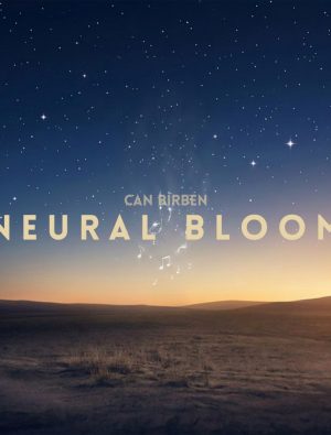Elektronik Müziğe Geleneksel Dokunuş