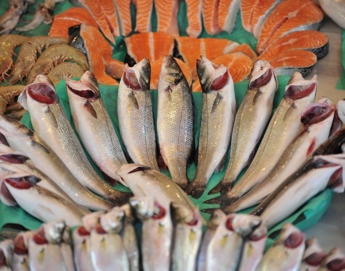 Future Fish Eurasia 2026 İzmir'de Su Ürünleri Sektörünü Buluşturacak
