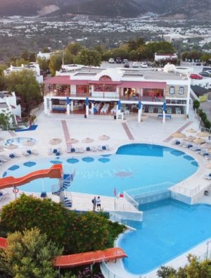 Bodrum’da Hayvan Dostu Tatil Anlayışı