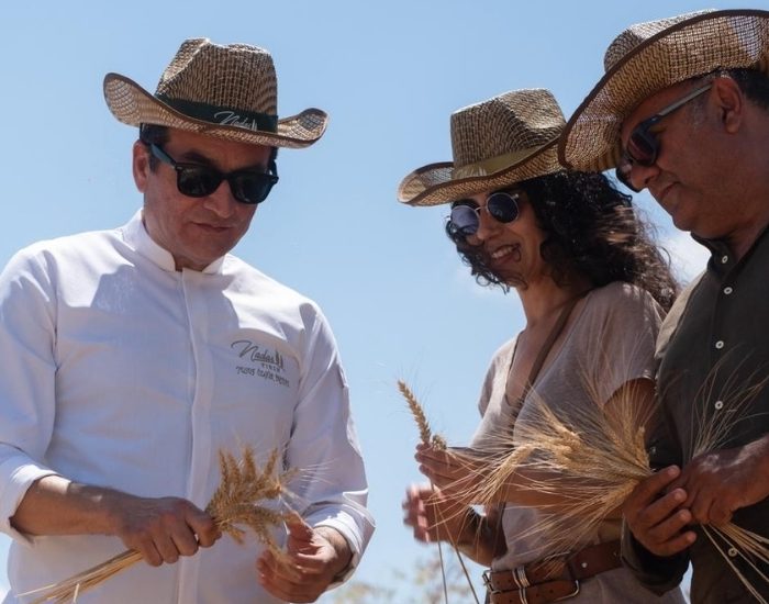 Kadim Buğdaylar Yeniden Toprakla Buluşuyor