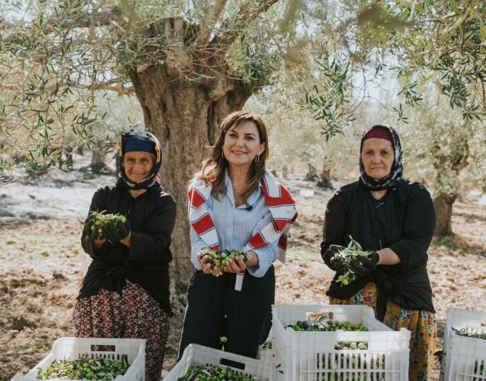 Nermin Hanım Zeytinliği Hasat Şenliğinde Üretim ve İhracat Sürecini Paylaştı